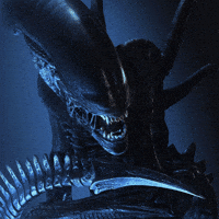 b9a27733168a40d3.gif